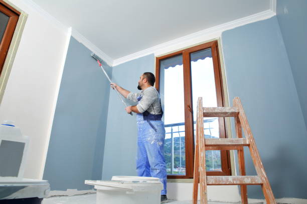Trusted Herald, CA Mold Removal Experts