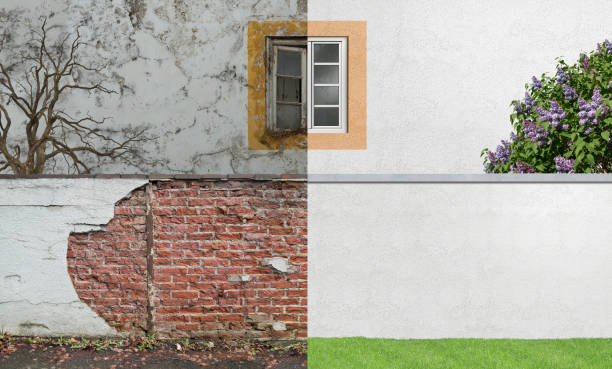 Best Mold Damage Restoration  in Herald, CA