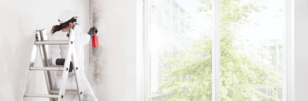 Best Environmental Consulting for Mold Prevention  in Herald, CA