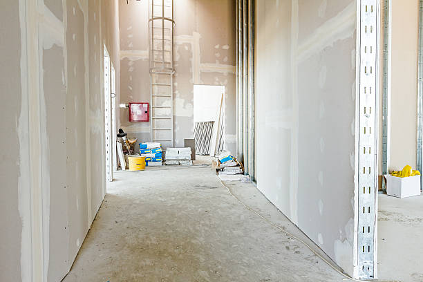 Best Mold Odor Removal Services  in Herald, CA